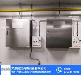 七氟丙烷气体灭火装置 守护榆次消防安全的智慧之选